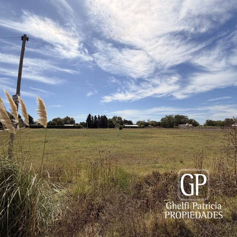 Excelentes terrenos en venta.