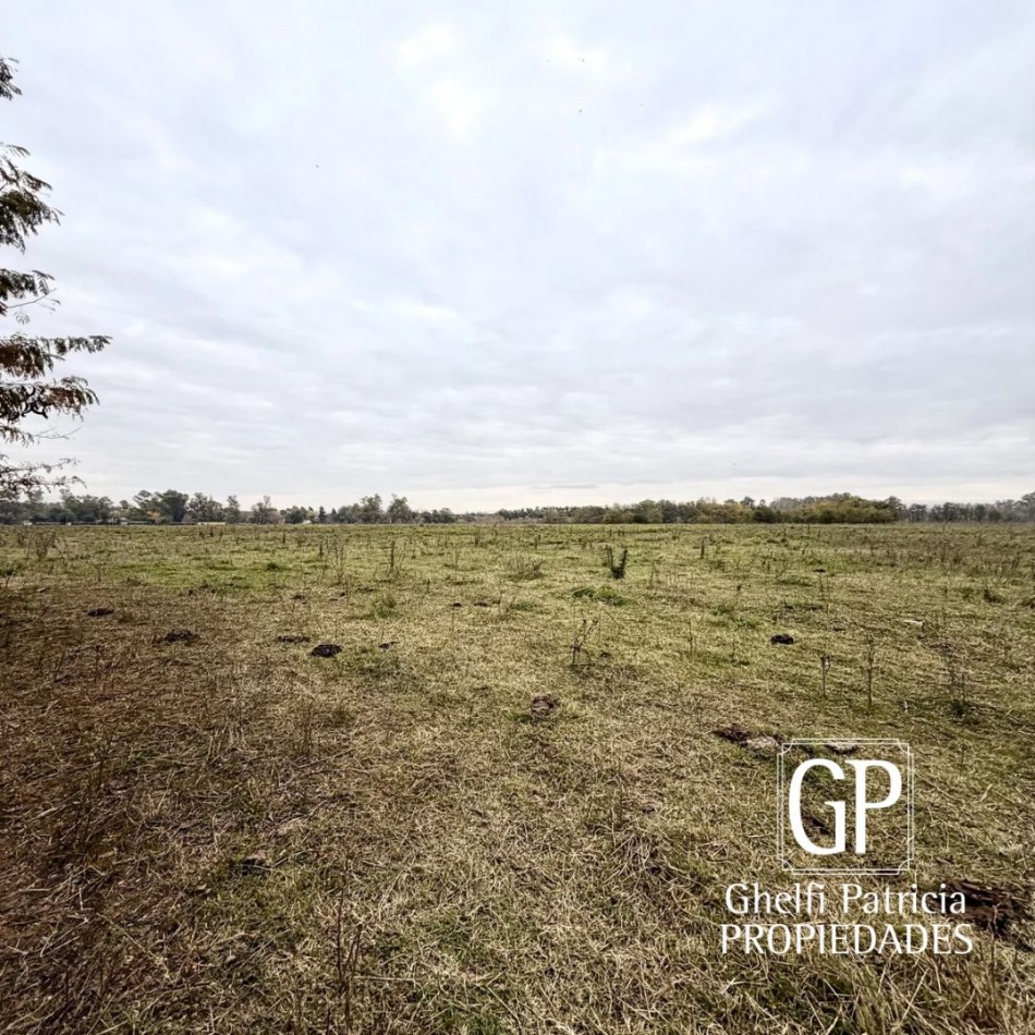 CAMPO EN VENTA- 