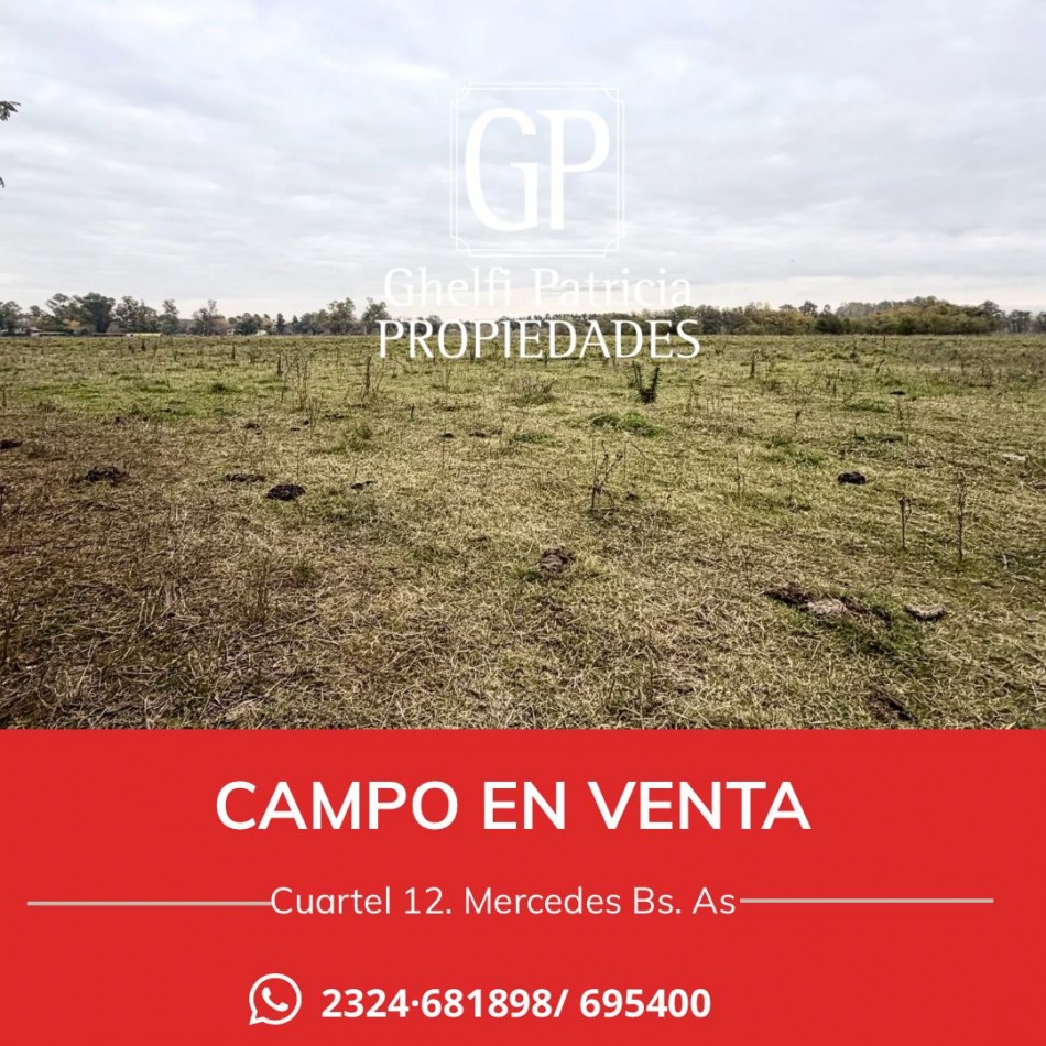 CAMPO EN VENTA- 