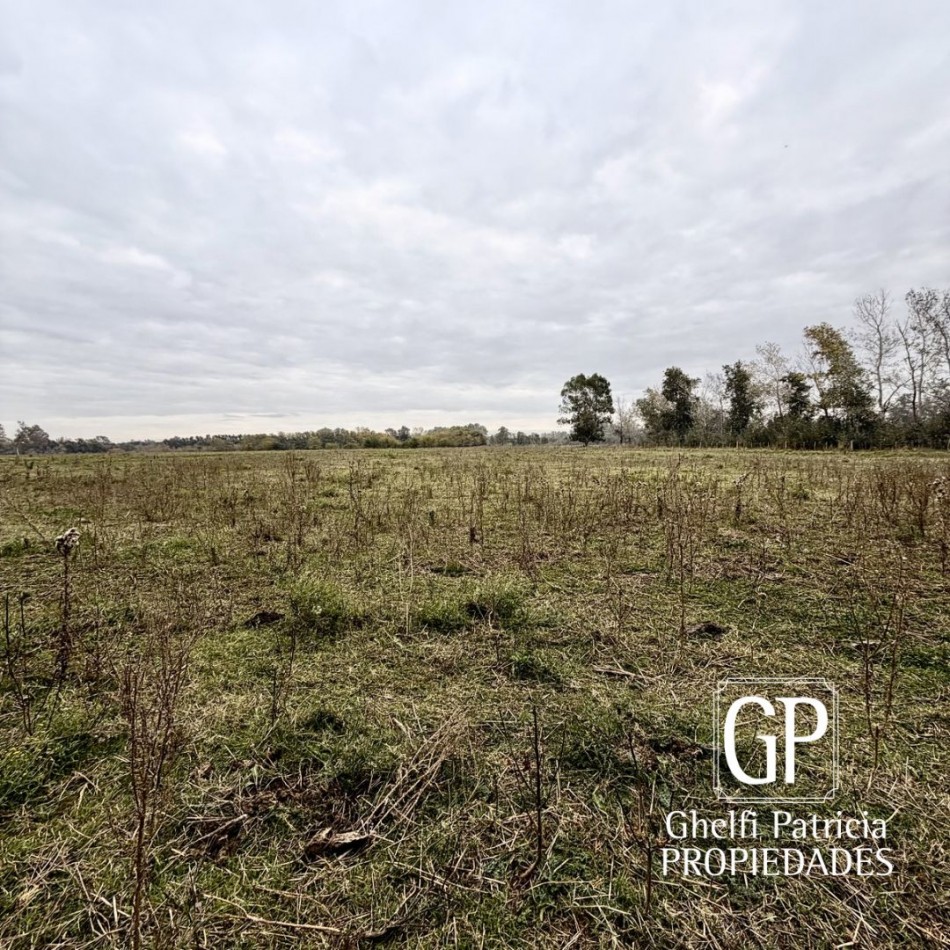CAMPO EN VENTA- 
