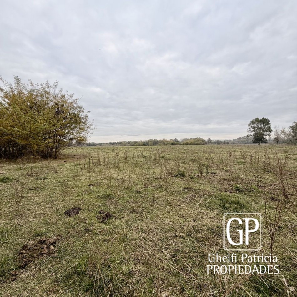 CAMPO EN VENTA- 